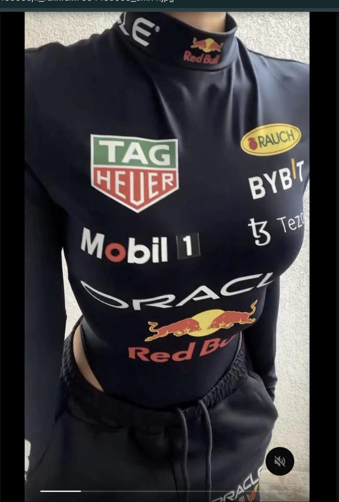 Red Bull Racing Suit Logos | 2025 F1 Sponsor Decals (digital Download ...