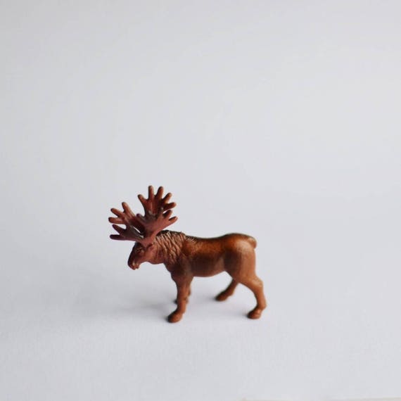 terra animals target