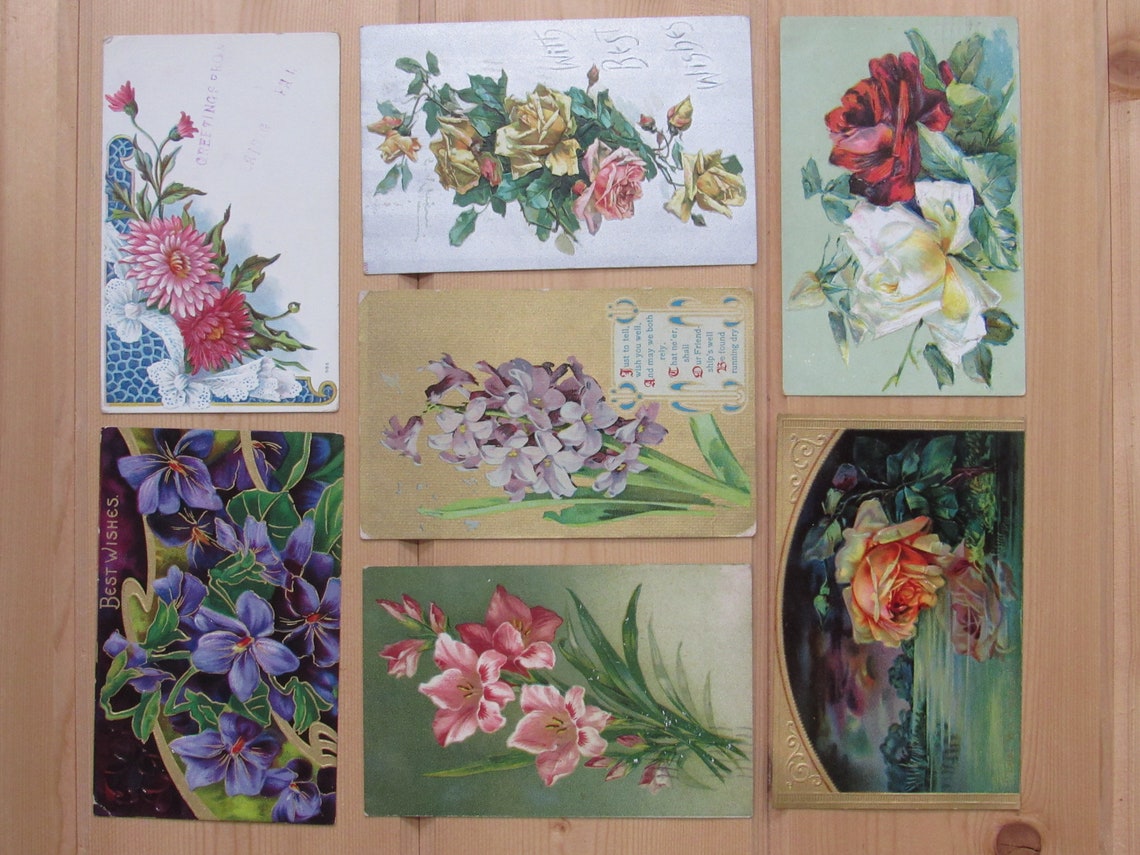 Vintage Flower Postcards 1910s Postcard Collection Etsy