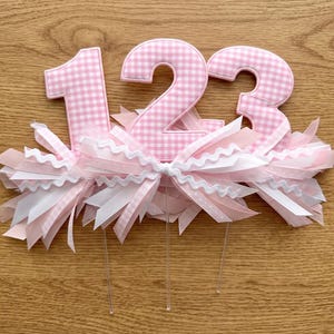 May include: Cake toppers with the numbers 1, 2, and 3. Each number is made of pink and white gingham fabric. The numbers are surrounded by pink and white ribbons and bows. Clear plastic sticks are attached to the bottom.