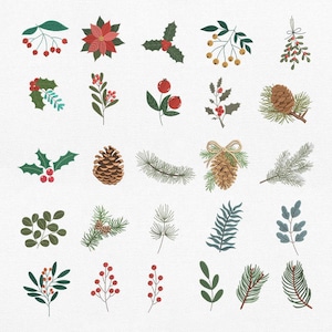 May include: A collection of twenty-five individual illustrations featuring holiday botanical elements including red poinsettias, green holly leaves with red berries, brown pinecones, evergreen pine branches, mistletoe, and various sprigs of foliage.