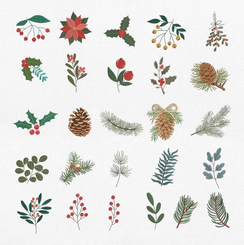 May include: A collection of twenty-five individual illustrations featuring holiday botanical elements including red poinsettias, green holly leaves with red berries, brown pinecones, evergreen pine branches, mistletoe, and various sprigs of foliage.