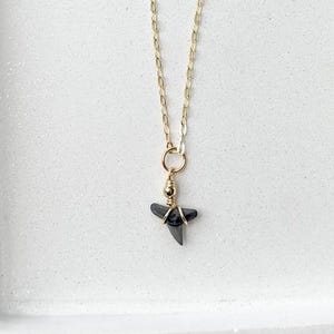 Cora - Shark Tooth necklace  |   Water Resistant  |  Beach Jewelry  | summer Jewelry |  Chain Necklace | Handmade