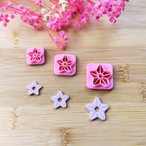 May include: A selection of star-shaped cookie cutters in pink and lavender. The set includes square moulds with star designs and individual star shapes. The items are displayed on a wooden surface, with pink flowers in the background.