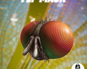 Roblox - Visage bizarre de mouche | Toutes les plateformes