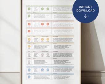 Chinese Food Therapy Cheat Sheet  • TCM Foods Chart • Traditional Chinese Medicine Nutrition Poster A4/A3