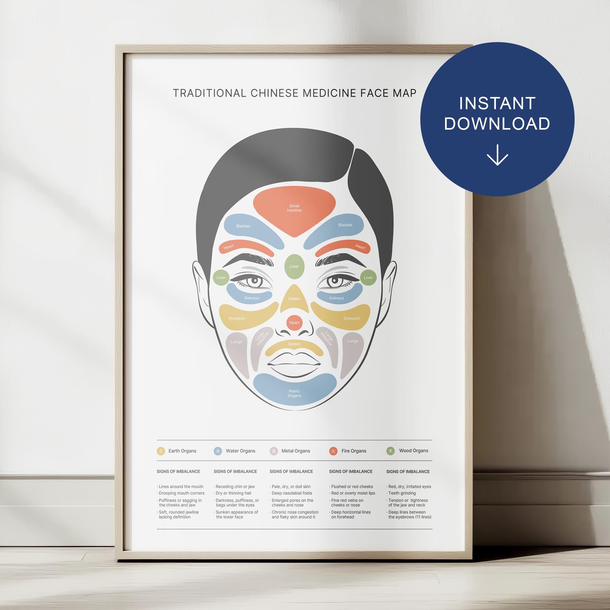 Reflexologia Facial Reflexologia Del Cuerpo Humano órganos Mapa