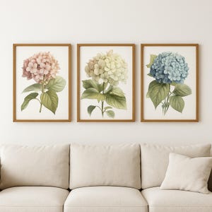 Hortensien botanische Drucke 3er-Set | Vintage Blumen Wandkunst | A3 Digitaler Download | Rosa, Blau & weiße Hortensie | Druckbares Poster