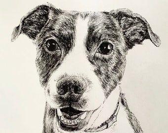 Custom Pet Portraits - Ink Drawing with watercolor