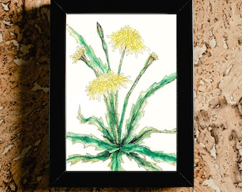 Dandelion digital print - downloadable print - wildflower - botanical