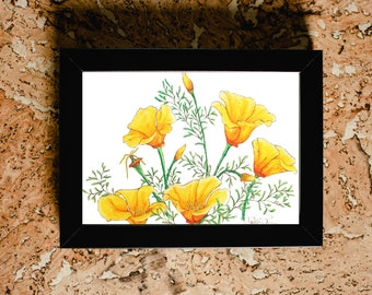 Orange Poppy digital print - california poppy - botanical, wildflower, floral, flower print - downloadable print