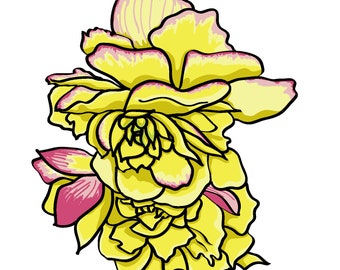 Begonias digital print - download - SVG - PNG download