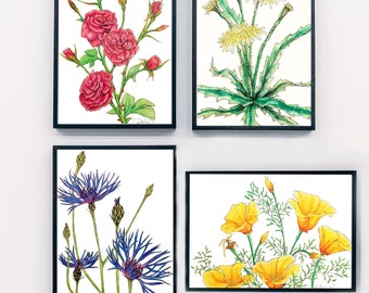 Floral Drawing Prints Pack Digital 2 -  set of 4 - hand drawn - poppy, rose, cornflower, dandelion - downloadable prints