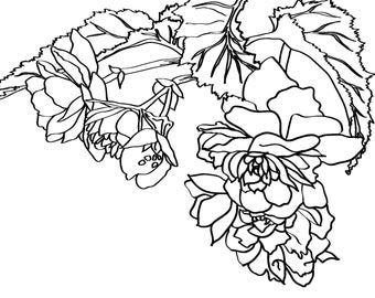 Digital Flower Clip art - line art - set of 5 - SVG - PNG