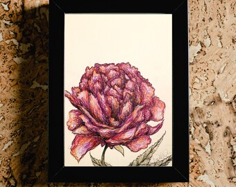 Peony digital print - pink flower botanical print - downloadable print