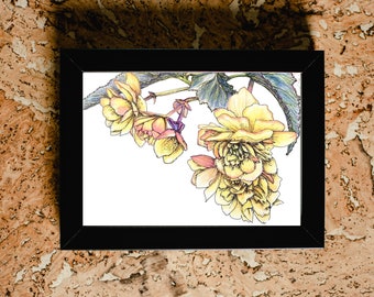 Begonia digital print - downloadable print - botanical print - hand drawn floral sketch