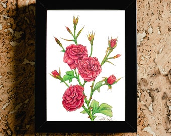 Red Roses digital print - botanical, floral, flower print - downloadable print