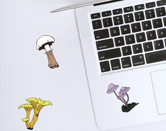 Mushroom Digital Combo - clip art - set of 4 - SVG - PNG - download