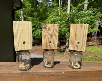 Handmade Carpenter Bee Traps (OG 3 Pack)