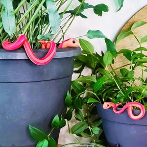 Peut inclure: Trois pots de plantes avec des figurines de serpent décoratives roses et oranges. Un pot est bleu foncé, un autre est violet et le troisième est un bocal en verre. Les plantes sont entourées de coquillages et de cristaux.