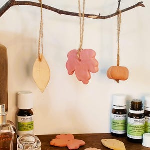 Può includere: Un'esposizione a tema autunnale con decorazioni e oli essenziali. Tre ornamenti a forma di foglia, foglia d'acero e zucca sono appesi a un ramo. Diverse bottiglie di oli essenziali e oggetti decorativi sono disposti su una superficie di legno.