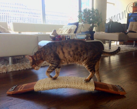 cat barrel scratcher