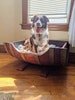 Wine Barrel Pet Bed - Leaba -  Cat and Dog Bed made from retired Napa wine barrels. 100% Recycled! 