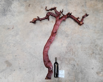 Domaine Carneros Grape Vine Art From made from retired Napa Pinot Noir grapevine 100% Recycled + Ready to Ship! 081616-15