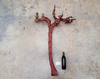 Domaine Carneros Grape Vine Art From made from retired Napa Pinot Noir grapevine 100% Recycled + Ready to Ship! 081616-16