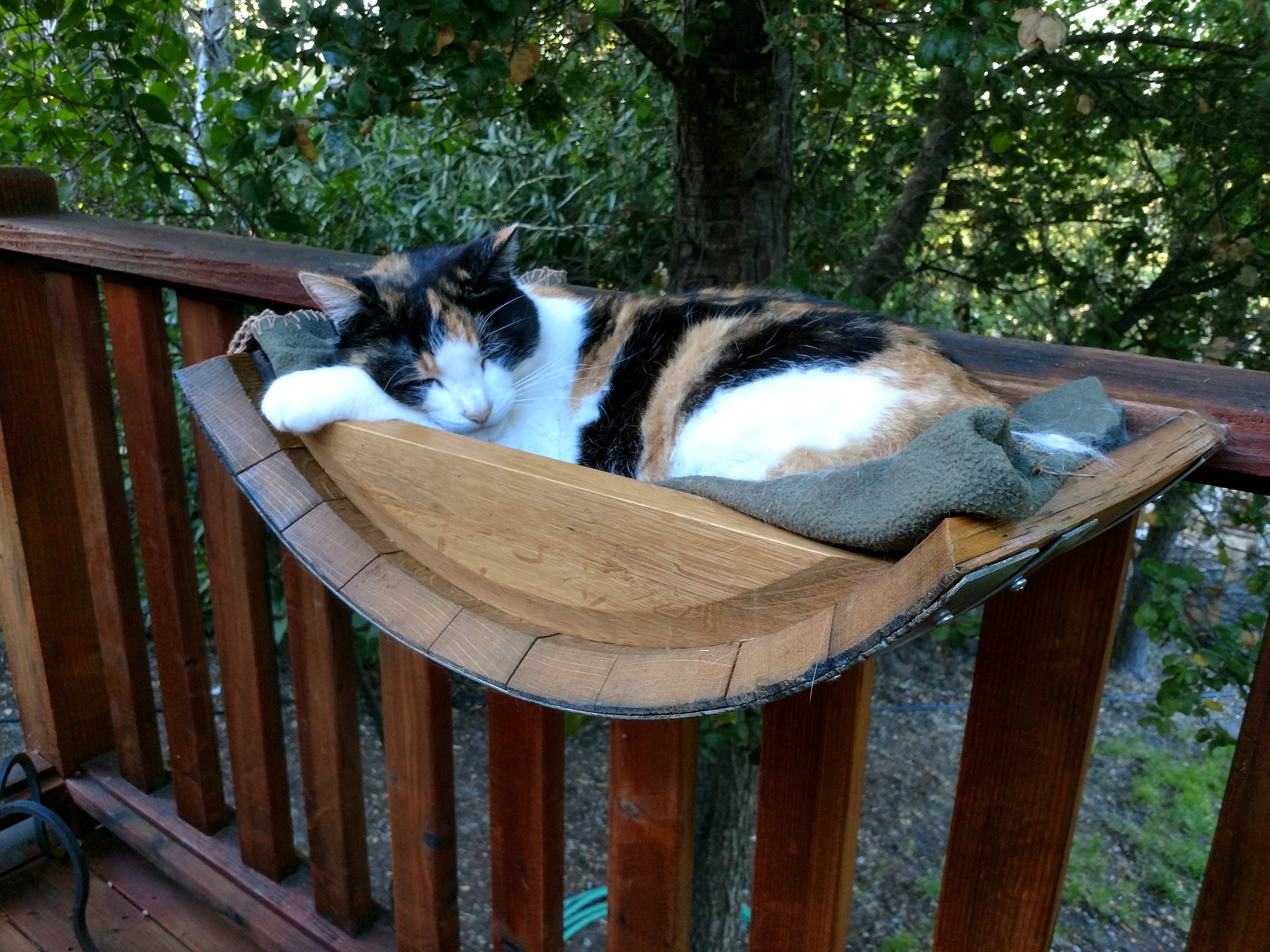 Wine Barrel Hanging Cat Bed Birala Made From Retired