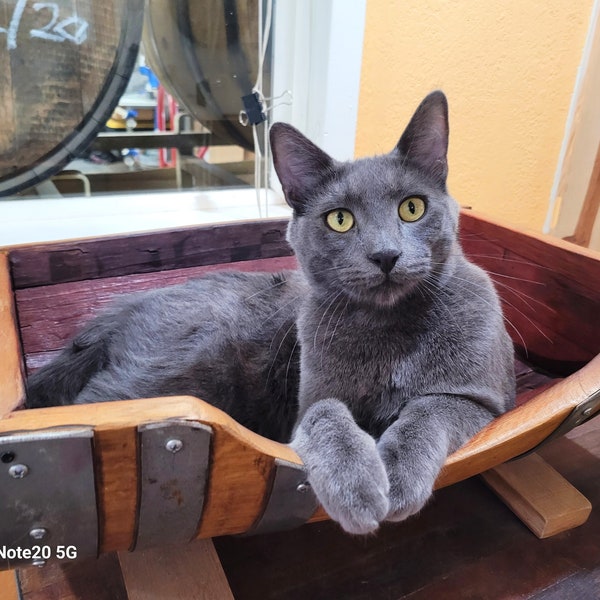 Wine Barrel Pet Bed - Dormio - Made from retired CA wine barrels. 100% Recycled!