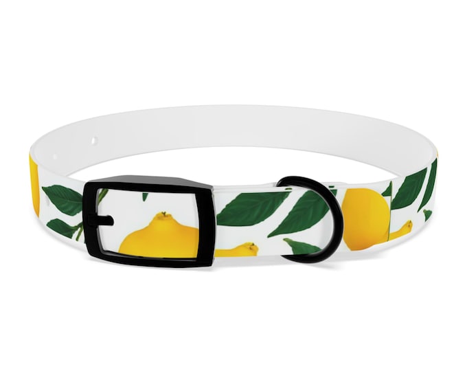 BellaStoria | Yellow Lemon Pattern Dog Collar | Citrus Leaves Print
