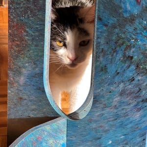 May include: A black and white cat peeking through a blue abstract art piece. The cat has yellow eyes and is looking directly at the viewer. The art piece has a textured, layered appearance with shades of blue and hints of other colors.