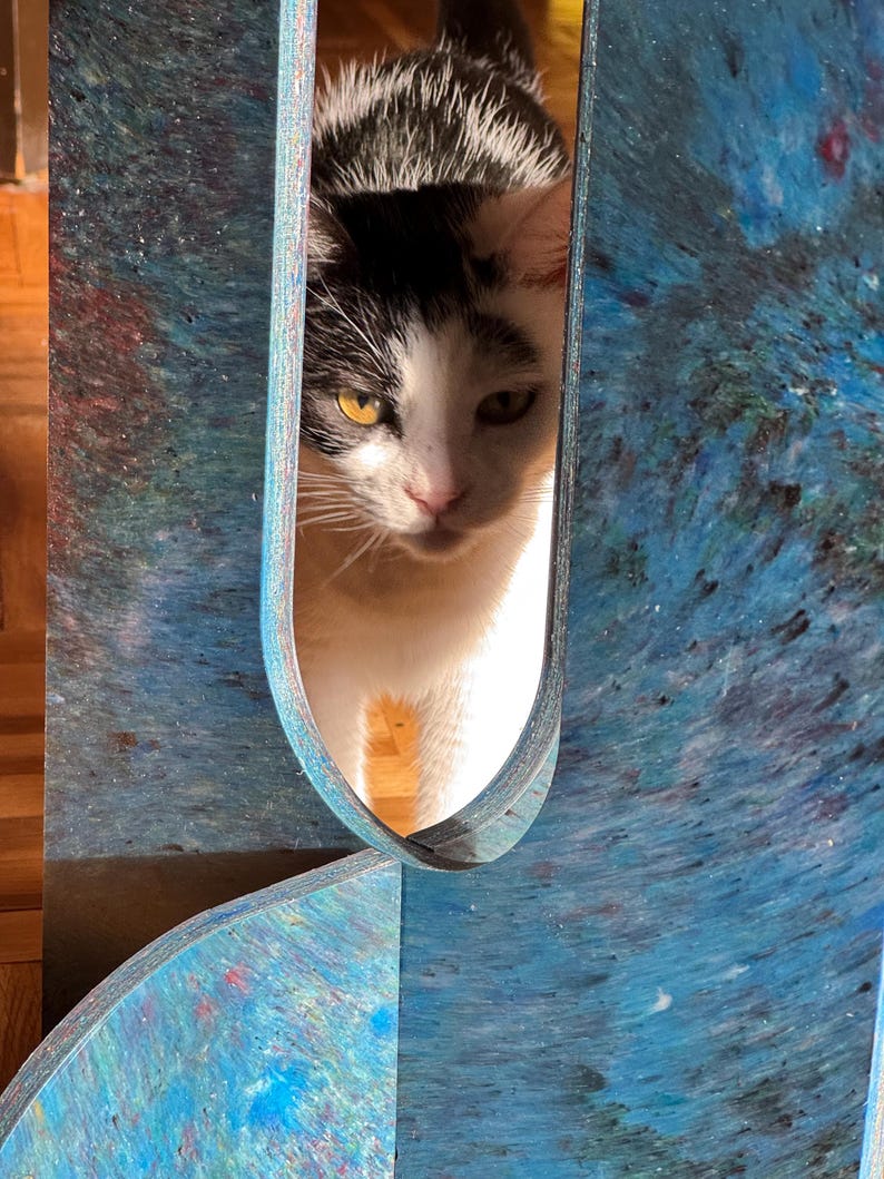 May include: A black and white cat peeking through a blue abstract art piece. The cat has yellow eyes and is looking directly at the viewer. The art piece has a textured, layered appearance with shades of blue and hints of other colors.