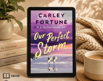 Our Storm Novel by Carley Fortune (Ebook Download)