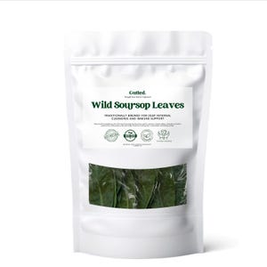 Premium Wild Soursop Leaves for Tea | Dried Graviola Leaves | Annona Muricata | Naturally Sun-Dried, Pesticide-Free, Hand-Picked