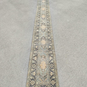 May include: A long, narrow, rectangular rug with an intricate, faded pattern. The rug features a central design in beige and blue, framed by a border of darker hues. The overall color palette is muted, with hints of green and brown.