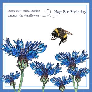以下が含まれることがあります： ミツバチと青いヤグルマギクの水彩イラストが描かれたグリーティングカードです。「Buzzy Buff-tailed Bumble amongst the Cornflowers」と「Hap-Bee Birthday」というテキストが入っています。カードは白い背景に青い縁取りがされています。