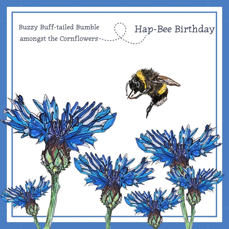 以下が含まれることがあります： ミツバチと青いヤグルマギクの水彩イラストが描かれたグリーティングカードです。「Buzzy Buff-tailed Bumble amongst the Cornflowers」と「Hap-Bee Birthday」というテキストが入っています。カードは白い背景に青い縁取りがされています。