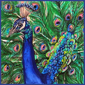 Cartão de felicitações de pavão, desenho a caneta e tinta