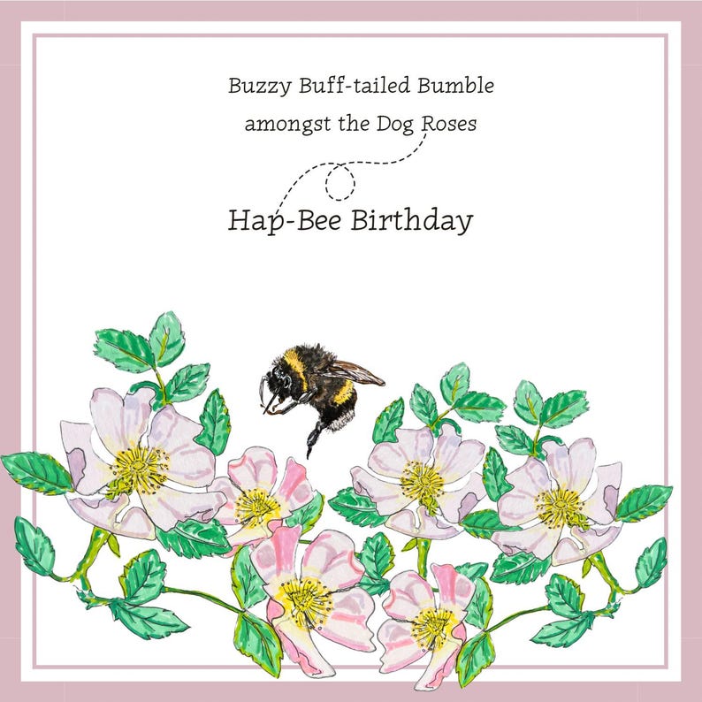 以下が含まれることがあります： ピンク色の縁取りのあるグリーティングカード。マルハナバチ、野バラ、緑の葉の水彩イラストが描かれています。テキストは「Buzzy Buff-tailed Bumble amongst the Dog Roses」と「Hap-Bee Birthday」です。