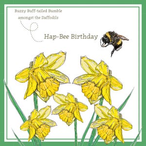 以下が含まれることがあります： 緑色の縁取りのあるグリーティングカードには、黄色の水仙とミツバチの水彩イラストが描かれています。テキストは「Buzzy Buff-tailed Bumble amongst the Daffodils」と「Hap-Bee Birthday」と書かれています。