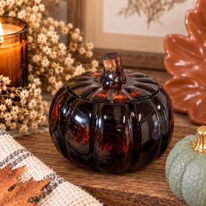 May include: A dark amber, translucent glass pumpkin-shaped container with a ribbed surface and a matching glass stem lid. The object features a deep, mottled brown colour with lighter highlights, reflecting light across its rounded, segmented body.