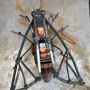 Scrap metal moth