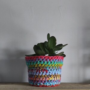 Puede incluir: Una pequeña planta en maceta dentro de un colorido y hecho a mano cubremacetas de ganchillo. El cubremacetas presenta una vibrante mezcla de colores del arcoíris, incluyendo rosa, azul, amarillo y verde. La planta tiene hojas verdes oscuras.