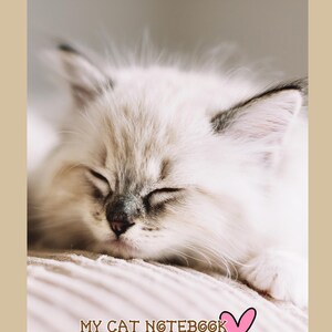 Printable Cat Notebook – 100 Page Lined PDF | Cute Kitty Cover, 8.5x11” US Letter | Digital Journal Download