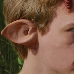 May include: A prosthetic pointed ear, flesh-toned with detailed inner ear features. The ear is attached to a person's head, with a blurred background of green foliage. The ear is designed to create a fantasy or cosplay look.