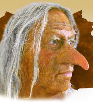 Hag Witch Goblin Tengu Fantasy Cosplay LARP Hallowen Latex Nose