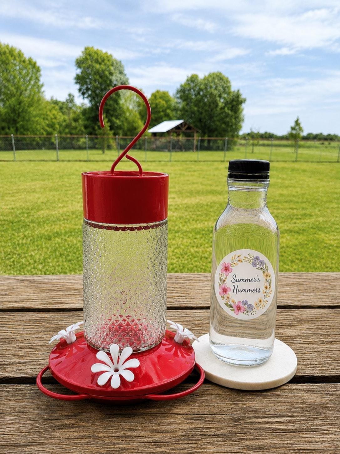 Hummingbird Feeder & Bottled Nectar Bundle | Ready-to-use Dye-free ...