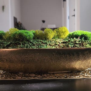Moss Bowl Centerpiece Gold